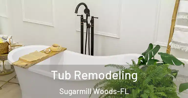 inner Bathroom imggen Tub Remodeling Sugarmill Woods-FL