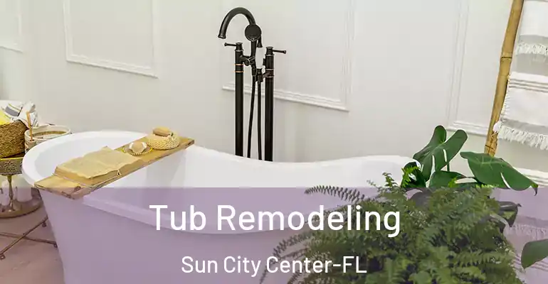 inner Bathroom imggen Tub Remodeling Sun City Center-FL