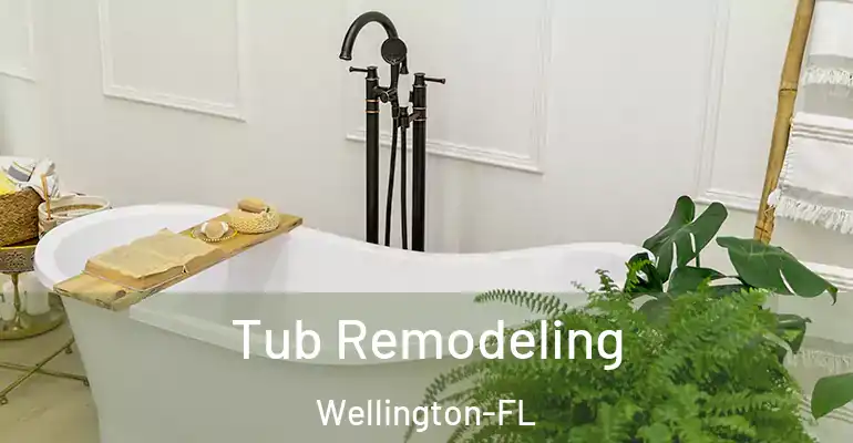 inner Bathroom imggen Tub Remodeling Wellington-FL