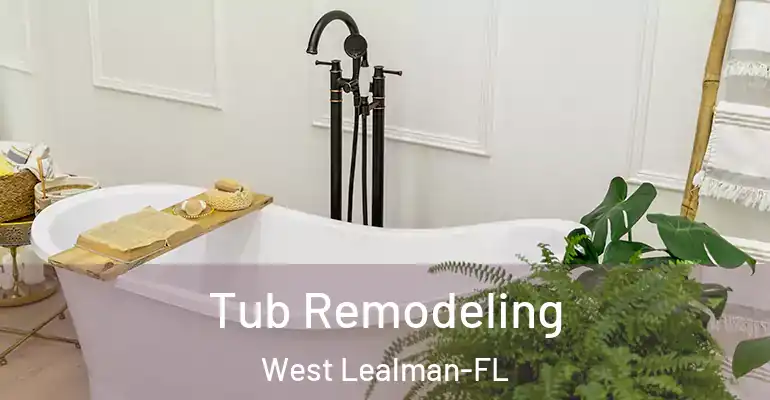 inner Bathroom imggen Tub Remodeling West Lealman-FL