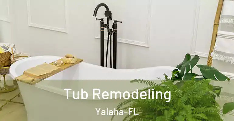 inner Bathroom imggen Tub Remodeling Yalaha-FL