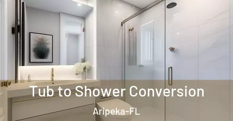 inner Bathroom imggen Tub to Shower Conversion Aripeka-FL