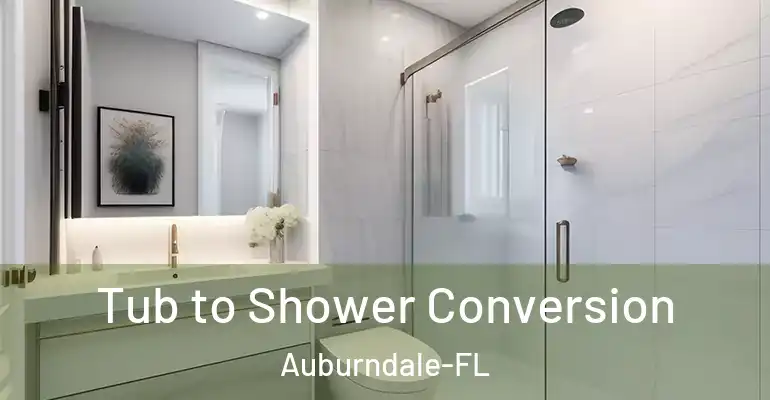 inner Bathroom imggen Tub to Shower Conversion Auburndale-FL