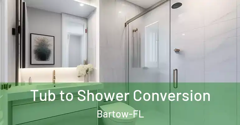 inner Bathroom imggen Tub to Shower Conversion Bartow-FL
