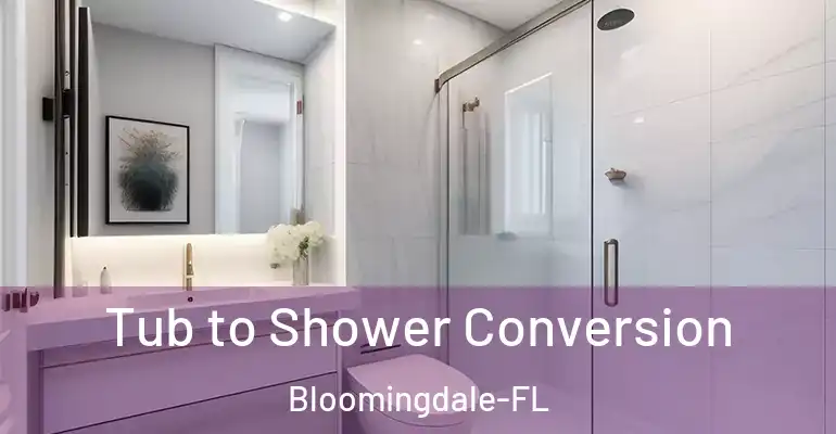inner Bathroom imggen Tub to Shower Conversion Bloomingdale-FL