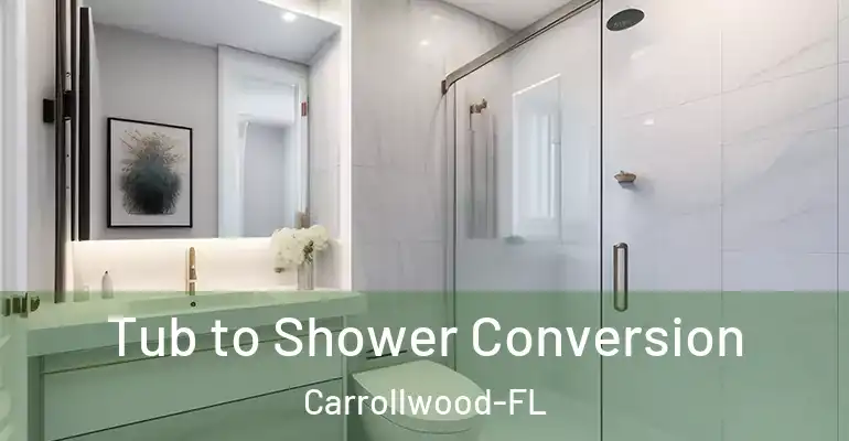 inner Bathroom imggen Tub to Shower Conversion Carrollwood-FL