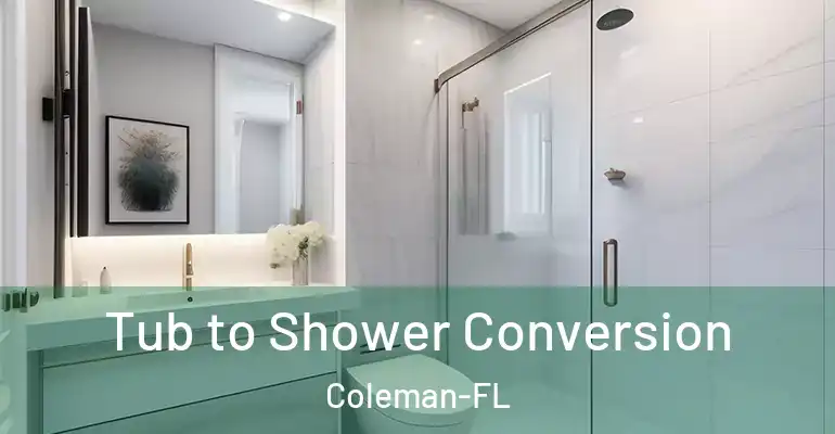 inner Bathroom imggen Tub to Shower Conversion Coleman-FL