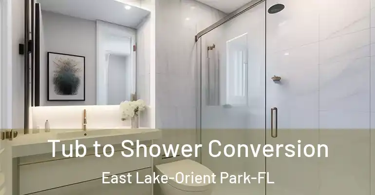 inner Bathroom imggen Tub to Shower Conversion East Lake-Orient Park-FL