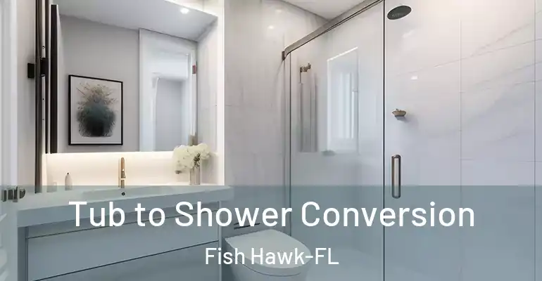 inner Bathroom imggen Tub to Shower Conversion Fish Hawk-FL