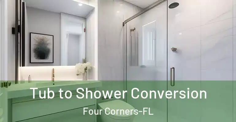 inner Bathroom imggen Tub to Shower Conversion Four Corners-FL