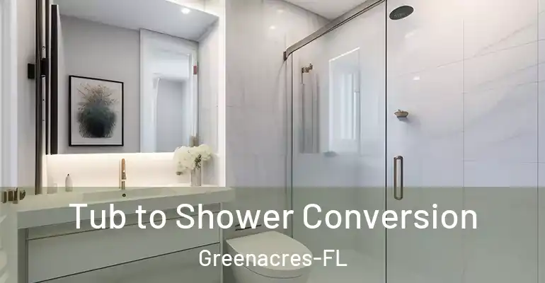 inner Bathroom imggen Tub to Shower Conversion Greenacres-FL