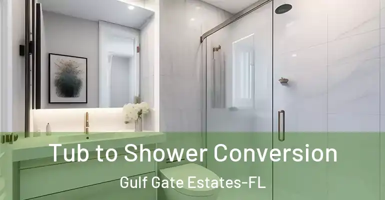 inner Bathroom imggen Tub to Shower Conversion Gulf Gate Estates-FL