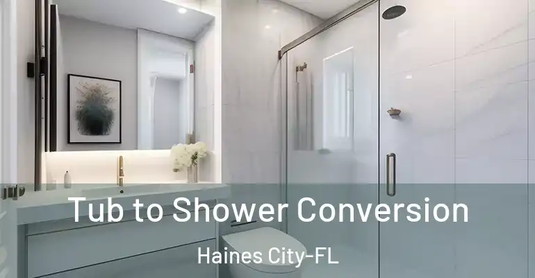 inner Bathroom imggen Tub to Shower Conversion Haines City-FL
