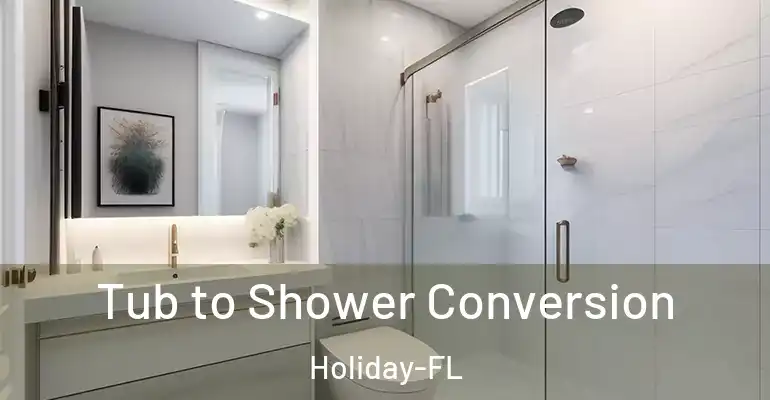 inner Bathroom imggen Tub to Shower Conversion Holiday-FL