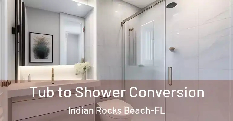 inner Bathroom imggen Tub to Shower Conversion Indian Rocks Beach-FL