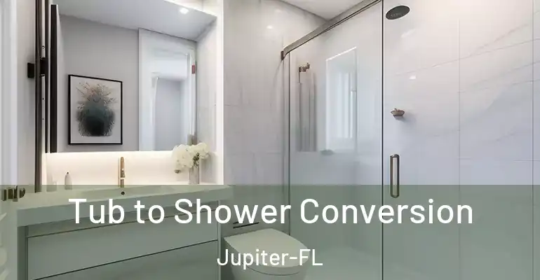 inner Bathroom imggen Tub to Shower Conversion Jupiter-FL