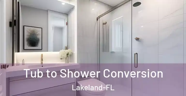 inner Bathroom imggen Tub to Shower Conversion Lakeland-FL