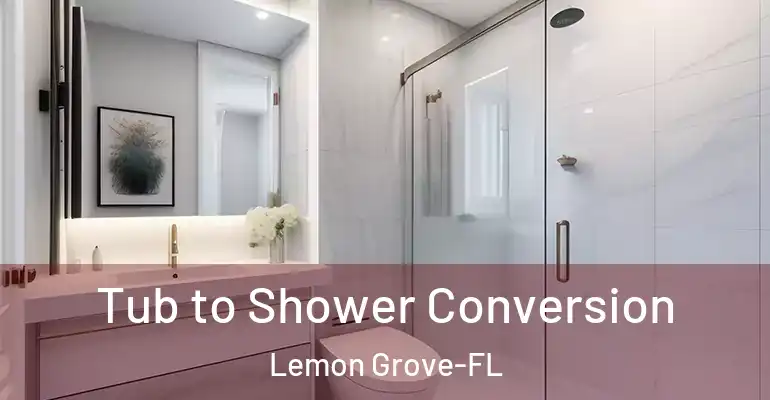 inner Bathroom imggen Tub to Shower Conversion Lemon Grove-FL