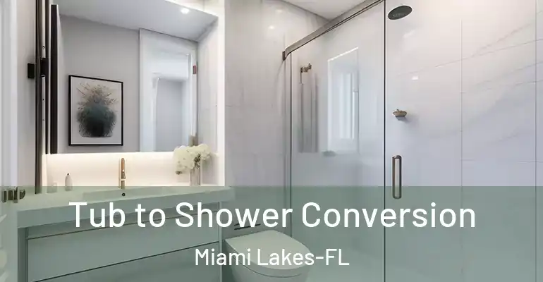 inner Bathroom imggen Tub to Shower Conversion Miami Lakes-FL