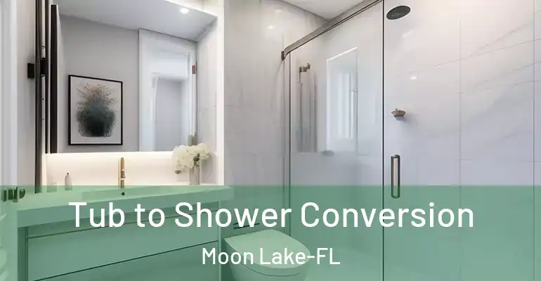 inner Bathroom imggen Tub to Shower Conversion Moon Lake-FL