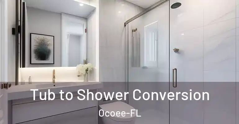 inner Bathroom imggen Tub to Shower Conversion Ocoee-FL