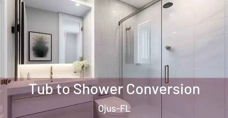inner Bathroom imggen Tub to Shower Conversion Ojus-FL
