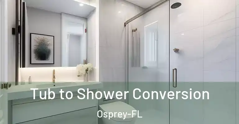 inner Bathroom imggen Tub to Shower Conversion Osprey-FL