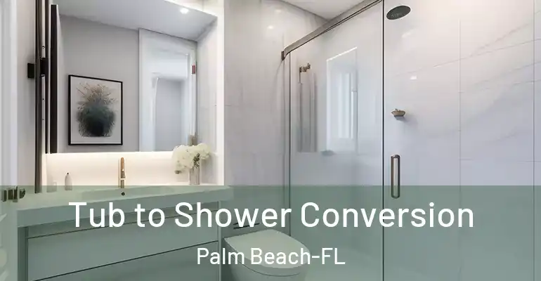 inner Bathroom imggen Tub to Shower Conversion Palm Beach-FL