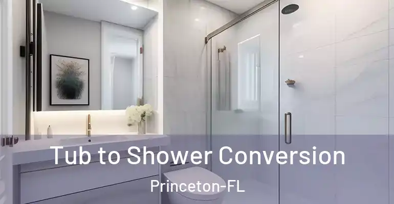 inner Bathroom imggen Tub to Shower Conversion Princeton-FL