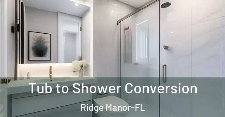 inner Bathroom imggen Tub to Shower Conversion Ridge Manor-FL