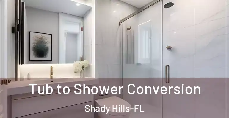 inner Bathroom imggen Tub to Shower Conversion Shady Hills-FL
