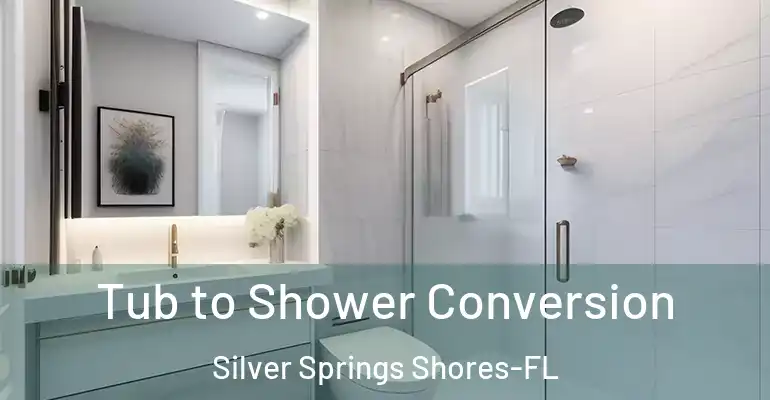 inner Bathroom imggen Tub to Shower Conversion Silver Springs Shores-FL