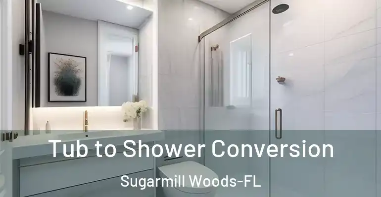 inner Bathroom imggen Tub to Shower Conversion Sugarmill Woods-FL