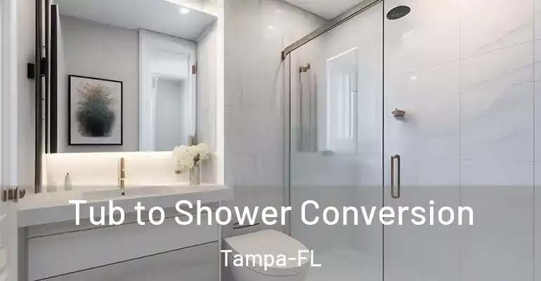 inner Bathroom imggen Tub to Shower Conversion Tampa-FL