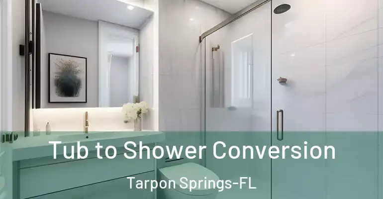 inner Bathroom imggen Tub to Shower Conversion Tarpon Springs-FL