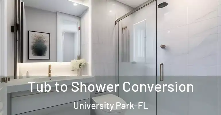 inner Bathroom imggen Tub to Shower Conversion University Park-FL