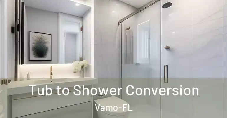inner Bathroom imggen Tub to Shower Conversion Vamo-FL