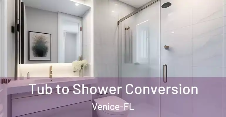 inner Bathroom imggen Tub to Shower Conversion Venice-FL