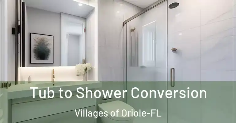 inner Bathroom imggen Tub to Shower Conversion Villages of Oriole-FL