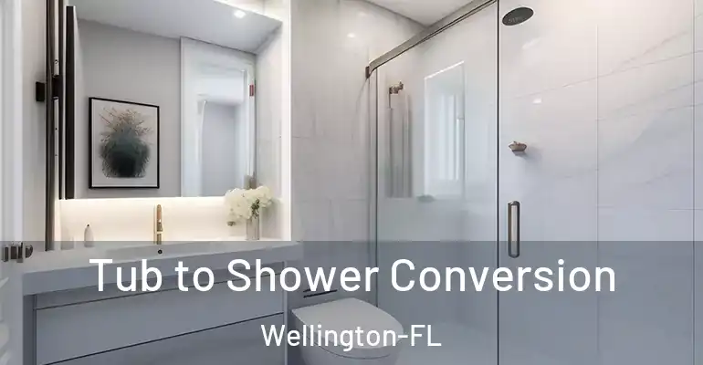 inner Bathroom imggen Tub to Shower Conversion Wellington-FL