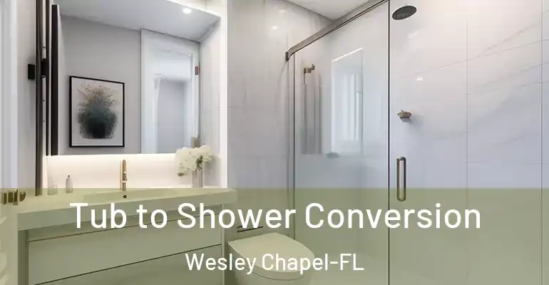 inner Bathroom imggen Tub to Shower Conversion Wesley Chapel-FL