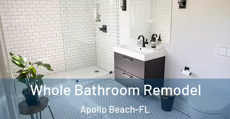inner Bathroom imggen Whole Bathroom Remodel Apollo Beach-FL