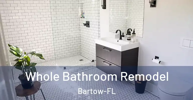 inner Bathroom imggen Whole Bathroom Remodel Bartow-FL