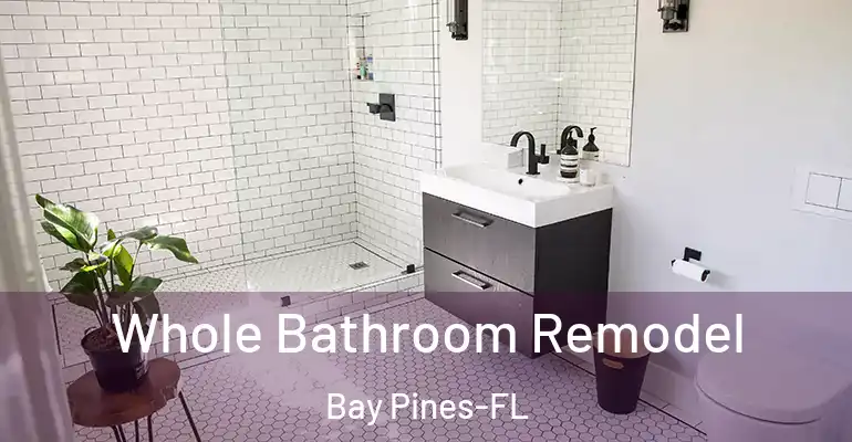 inner Bathroom imggen Whole Bathroom Remodel Bay Pines-FL