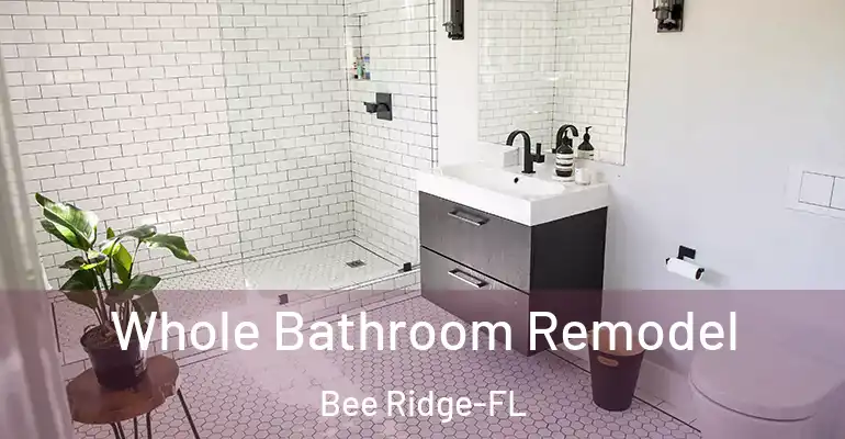 inner Bathroom imggen Whole Bathroom Remodel Bee Ridge-FL
