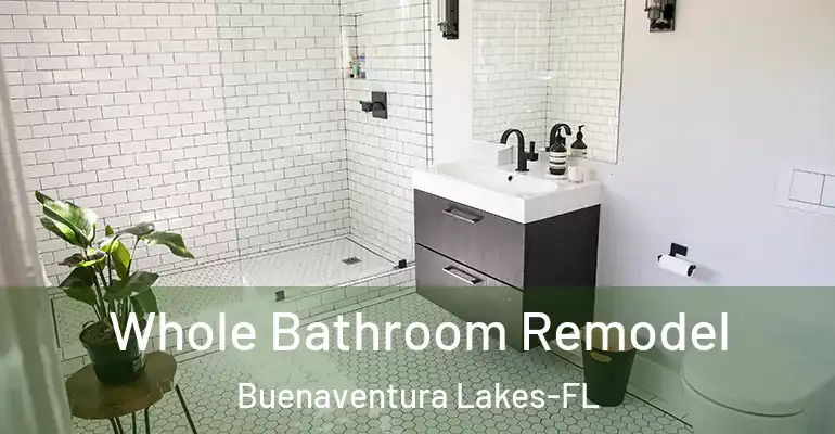 inner Bathroom imggen Whole Bathroom Remodel Buenaventura Lakes-FL