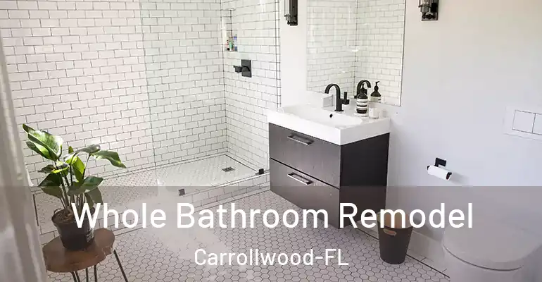 inner Bathroom imggen Whole Bathroom Remodel Carrollwood-FL