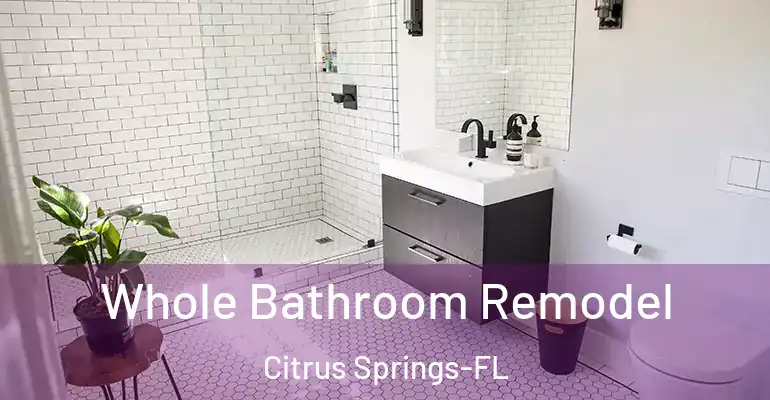 inner Bathroom imggen Whole Bathroom Remodel Citrus Springs-FL