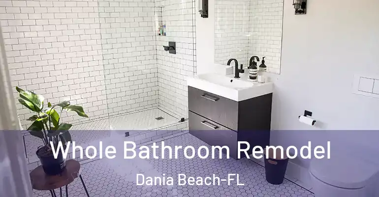 inner Bathroom imggen Whole Bathroom Remodel Dania Beach-FL