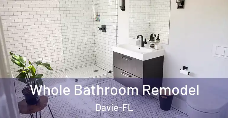 inner Bathroom imggen Whole Bathroom Remodel Davie-FL